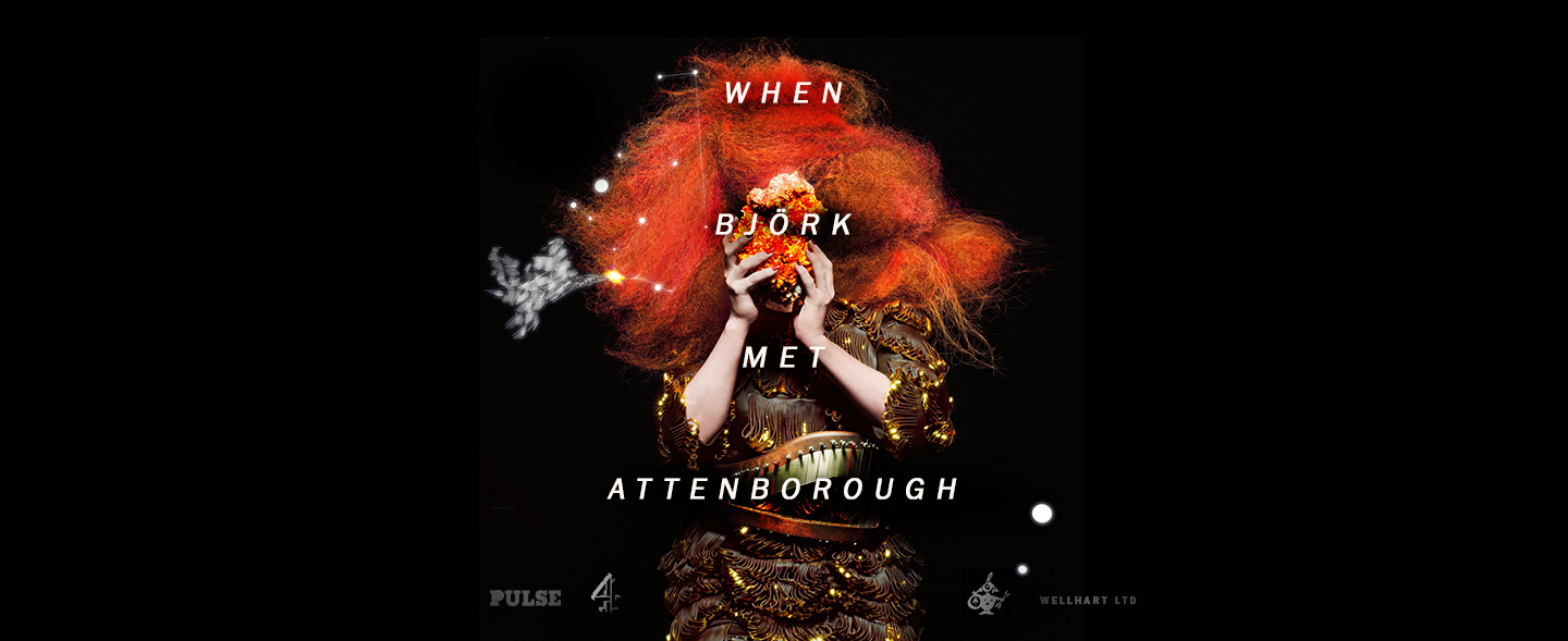 その他 When Bjork Met Attenborough [DVD] Bjork - When Bjork Met Attenborough [DVD] - Walmart.com